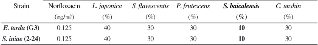 Fig. 1. Mortality assay of Scuticocilliata sp. in cell culture flask containing 5 different concentrations of 5 herbs