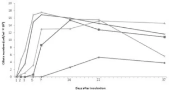 Fig. 1. Effect of temperature concentration on the growth of Miamiensis avidus 