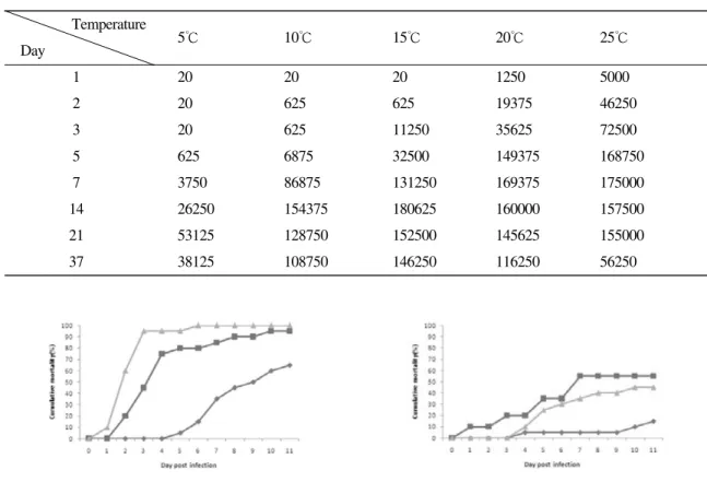 Fig. 5. Accumulated mortality of olive flounder by intraperitoneal injection (1 ×10 2 ciliates/fish) under various temperature at 10℃(-◆-), 15℃(-■-), 20℃(-▲-)Fig