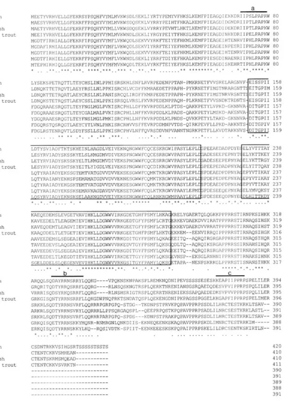 Fig. 2. Comparison of the black rockfish p47 phox amino acid sequence with other known p47 phox sequences