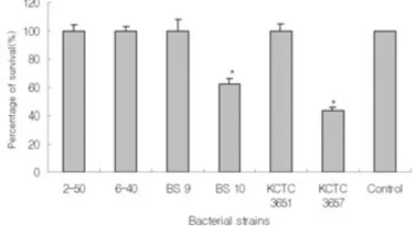 Fig. 1. Electronic micrographs of (A) ferritin-labelled Strep- Strep-tococcus parauberis Strain 2-50 and (B) S