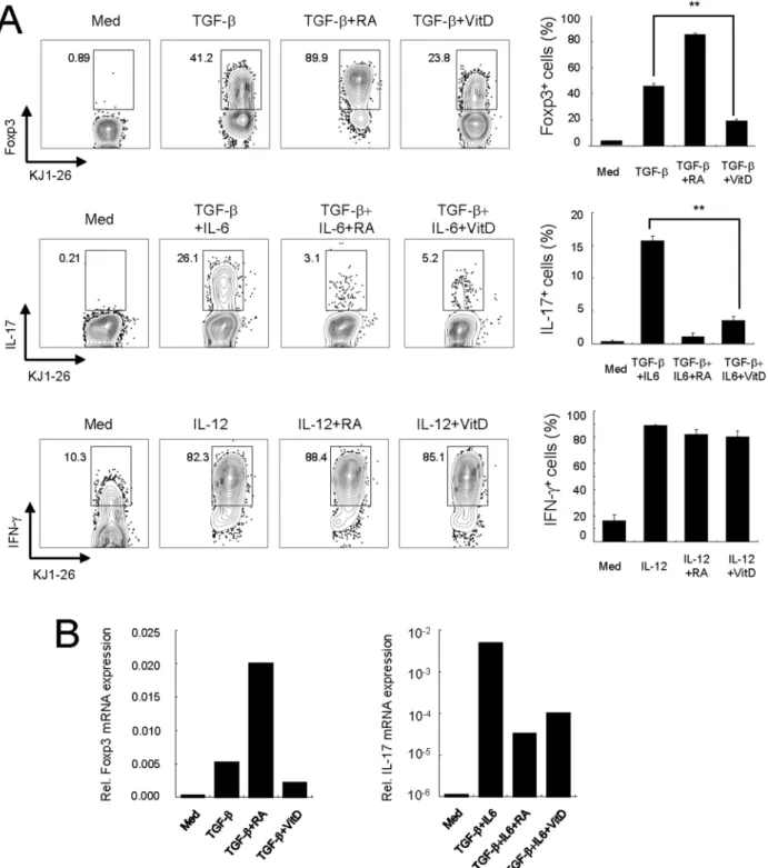 Figure 3. 1,25(OH) 2 D 3 negatively regulates Treg and T H 17 induction in OVA-specific CD4 + T cells