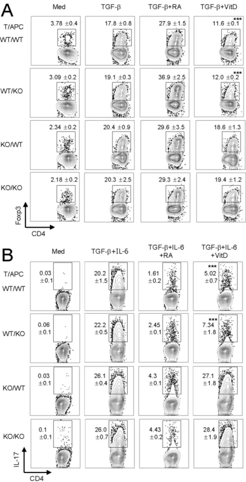 Figure 4. Vitamin D receptor on CD4 + T cells is required for regulation of Treg and T H 17 differentiation by 1,25(OH) 2 D 3 