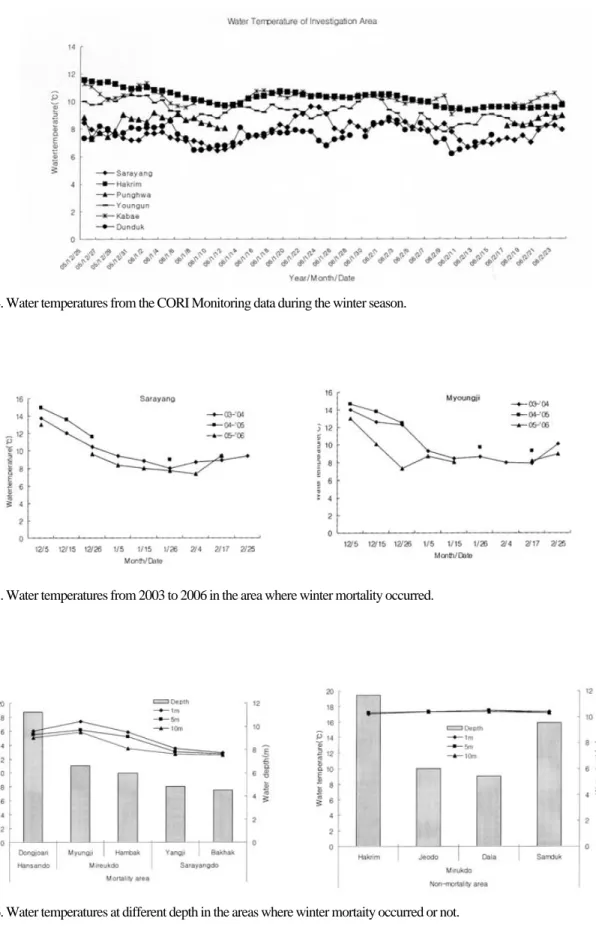 Fig. 5. Water temperatures from 2003 to 2006 in the area where winter mortality occurred.