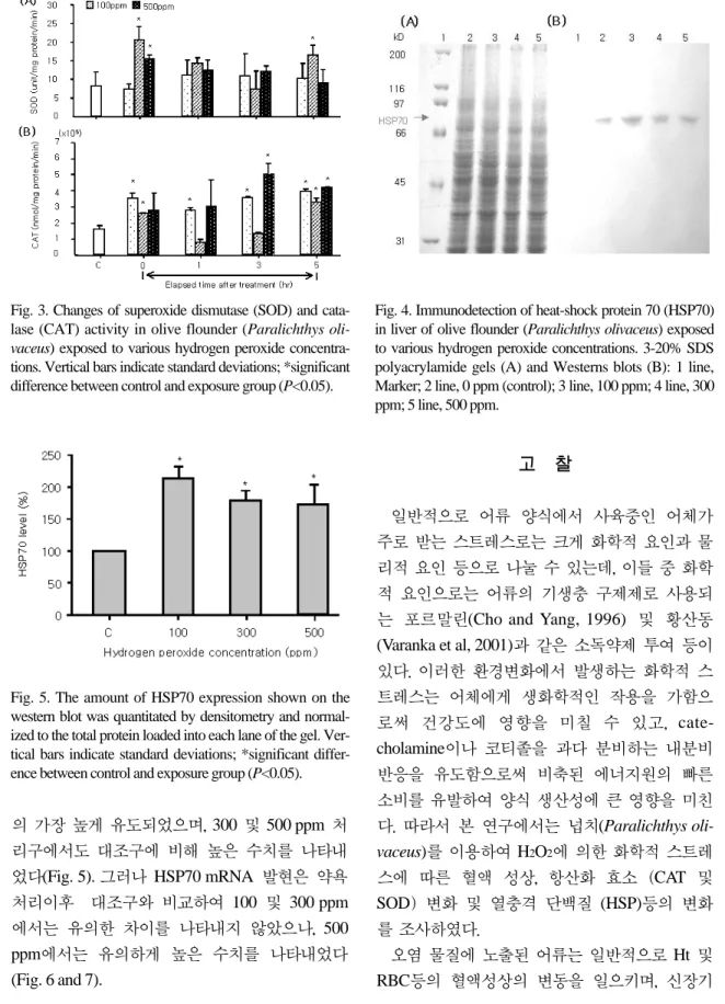 Fig. 4. Immunodetection of heat-shock protein 70 (HSP70) in liver of olive flounder (Paralichthys olivaceus) exposed to various hydrogen peroxide concentrations