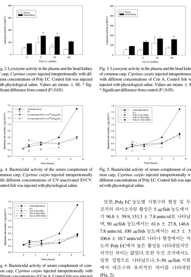 Fig. 3. Lysozyme activity in the plasma and the head kidney of common carp, Cyprinus carpio injected intraperitoneally with different concentrations of Con A