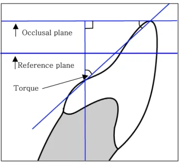 Figure 4.Point application of lingual surface of the each tooth. 