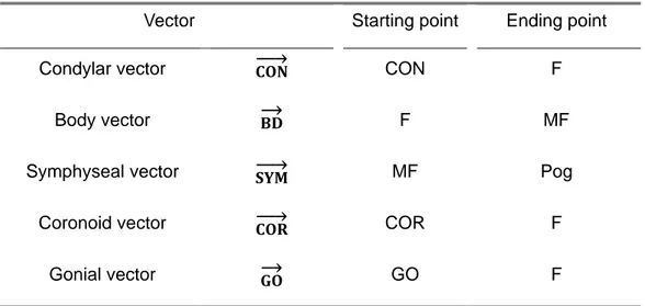Table 2. Functional unit vectors of the mandible 