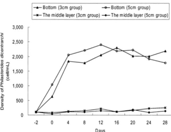 Fig. 2. Ciliate density at the bottom layer and middle layer of experimental tank according to incubation days