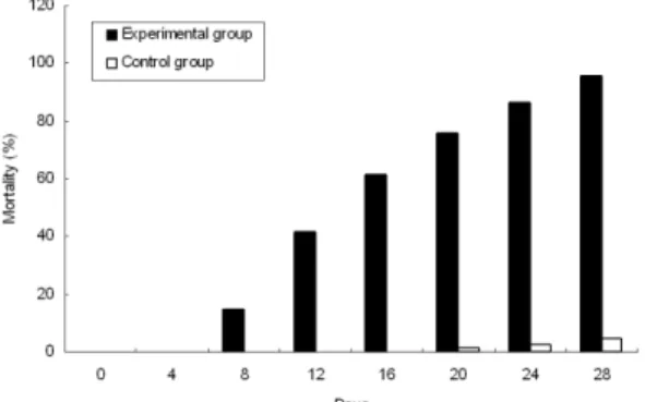 Fig. 4. Accumulative mortality on experimental infection of 5 cm flounder by P. dicentrarchi.