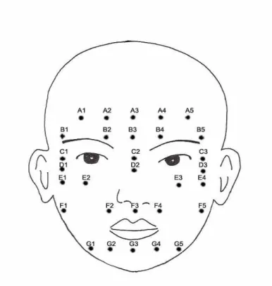 Table 1. The name and location of measuring points on the face