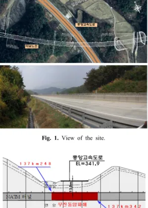 Fig. 1. View of the site.