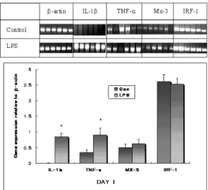 Fig. 2. Effect of LPS on immune gene expression in gill at day 3 post-injection. (a) Fish, 6 Rainbow trout for each group, were injected with PBS buffer as a negative control, or LPS 100 ㎍) 72 h before RNA extraction from the gill.