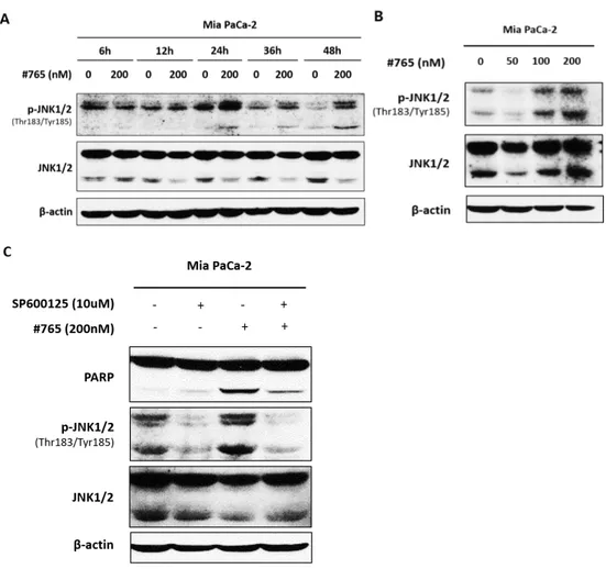 Figure 8. Effect of JNK on #765-induced apoptosis in Mia PaCa-2 cell. (A) Mia 