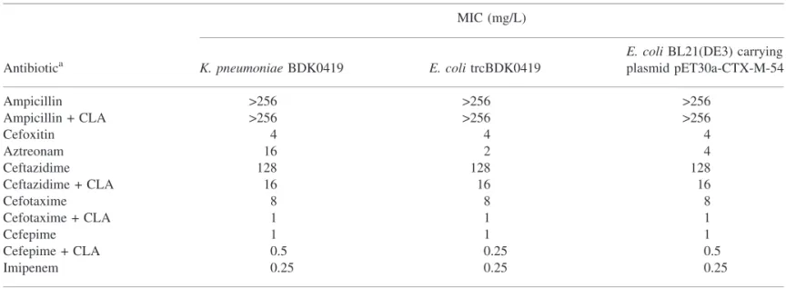 Table 2. MIC values of antimicrobial agents for K. pneumoniae BDK0419, E. coli trcBDK0419 and E