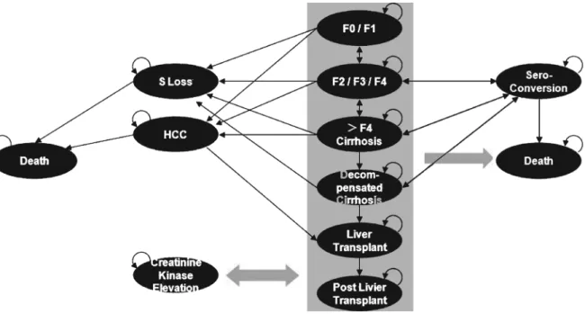 Figure 2. Model sub-structure. Single arrows represent transitions between health states; looped arrows indicates situations where transition out of a particular disease state is not 100% (i.e