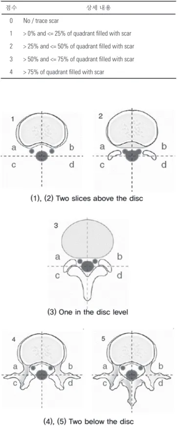 Fig. 1. MRI slices for evaluation. MR Image 의 단면 두께 (slice thickness) 는 세 개 의  caudal 면의 추간판 (disc) 을 중심으로 시상면 (sagittal) 에 대해  3~4mm 로 한 다 