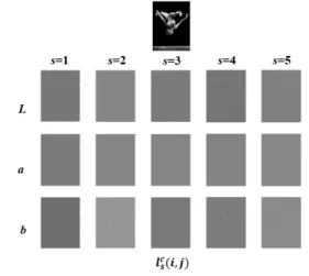Fig. 3. Local  saliency  feature  vectors  performed  by  adaptive  Gaussian  filtering.