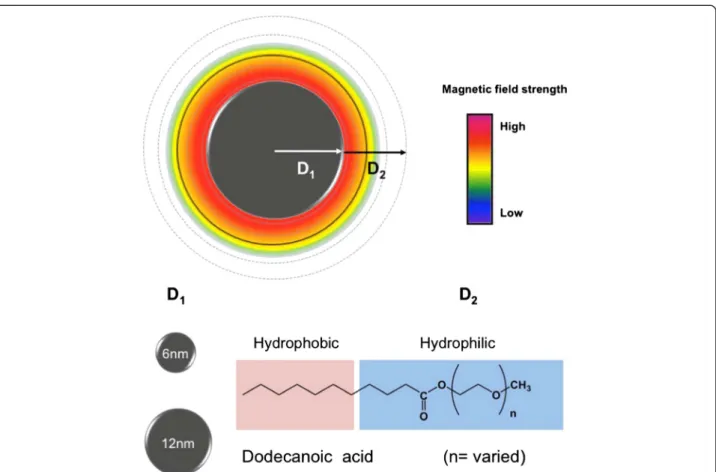 Figure 1 Schematic illustration of optimal coating thickness on different sizes of MnFe 2 O 4 (6 nm and 12 nm)