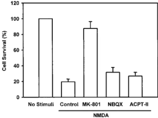 FIG. 5. Effect of various glutamate receptor subtype antagonists on NMDA-induced neuronal cell death in rat hippocampal H19-7 cells