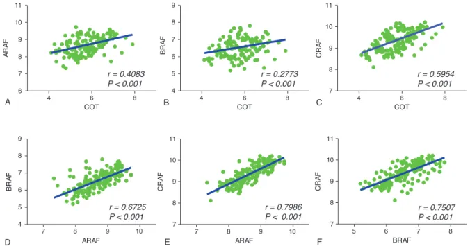 FIGURE 2. Correlation analysis of COT with A-, B-, and C-RAF in PTC. The relationship of relative mRNA expression values of COT (MAP3K8) with that of A-, B-, and C-RAF (n ¼ 135)