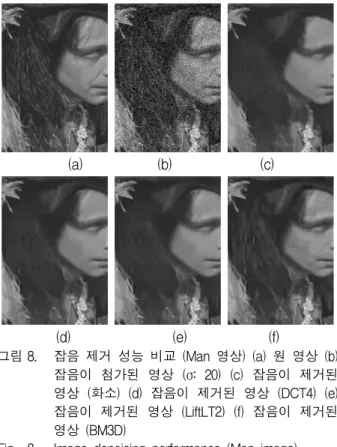 Fig. 6. Image  denoising  performance  (Lena  image).