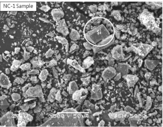 Fig. 4. SEM phase analysis of NC-1.