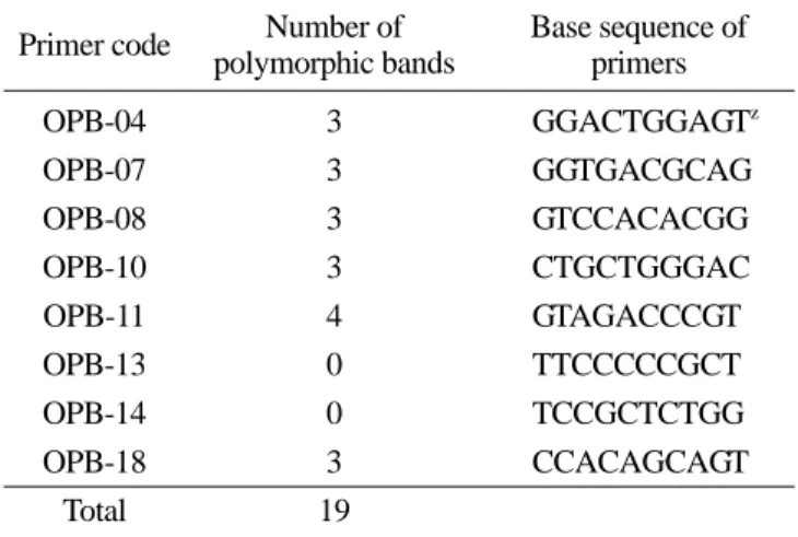 Fig. 1. RAPD patterns of medium leaf types zoysiagrasses. Six primers, A through F, were Operon 10 mer kit B04, B07, B08, B10, B11, and B18, respectively
