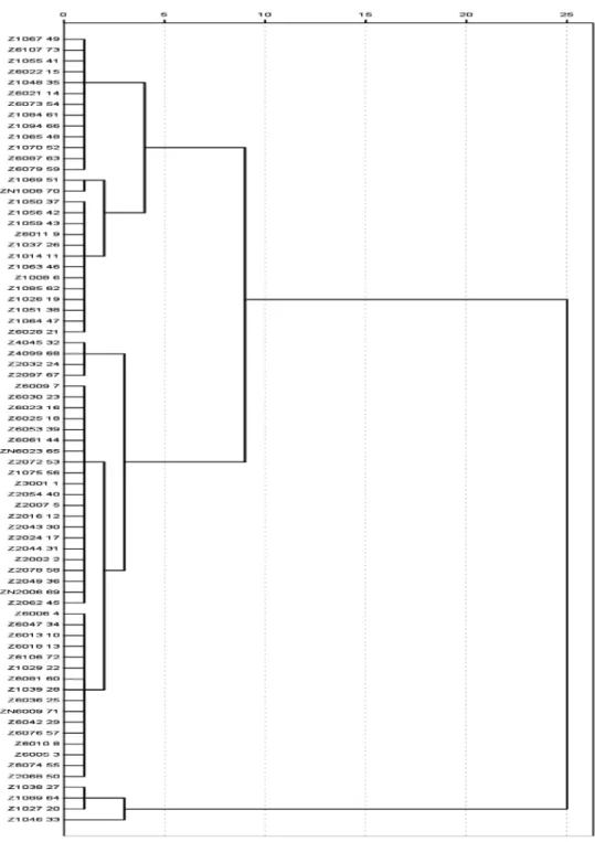 Fig. 3. Dendrogram of 73 native zoysiagrasses based on Euclidean distance from seed morphological traits (seed length, seed width, and seed length/width ratio)