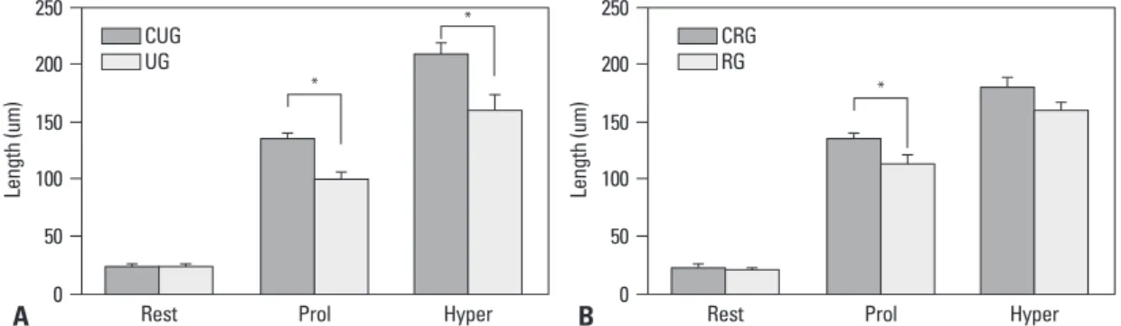 Fig. 3. Length of each zone of the growth plate (* p<0.05). (A) Comparison between unloaded and control group