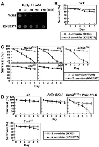 Figure 1 IMD/NF-kB-dependent innate immunity is indispensable for host protection from ROS-resistant pathogen