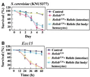 Figure 2 The susceptibility of Relish E20 flies to natural KNU5377