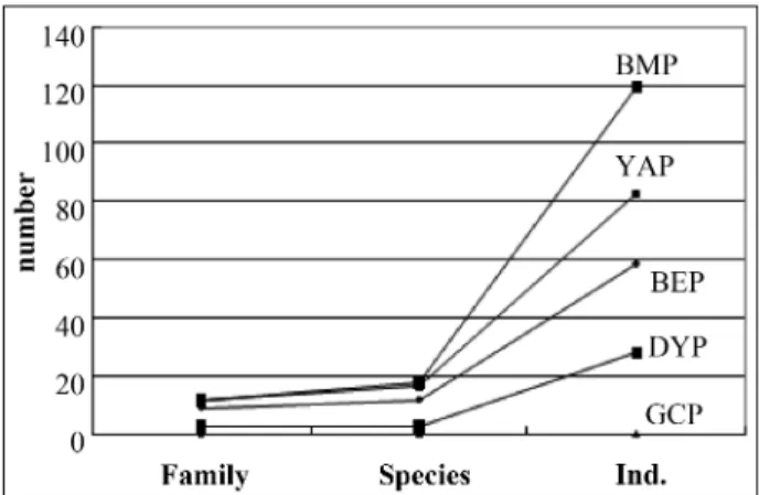 Fig. 2. Comparative occurrence of Carabidae, Silphidae and Staphylinidae on the ground surface beetles from Parks (BEP: