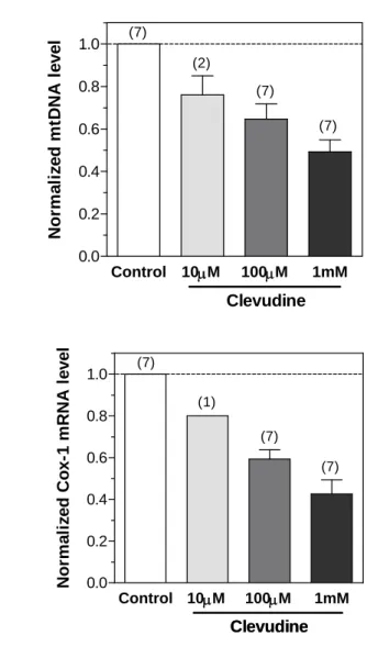 Figure 4. Effects of clevudine on mitochondrial DNA copy number and  mRNA levels of mitochondria-related genes in INS-1E cells