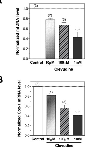 Figure 5. Effects of clevudine on mitochondrial DNA copy number and  mRNA levels of mitochondria-related genes in HepG2 cells