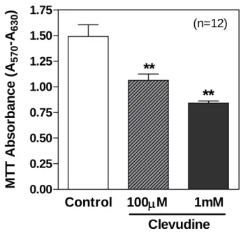 Figure 6. High-dose clevudine decreased MTT intensity in INS-1E cells.  Clevudine reduced the MTT signal, which reflects total mitochondrial activity within  each well