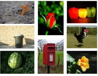 그림 10. 사진기반  CAPTCHA  예시 Fig. 10. Image  Based  CAPTCHA  Example.