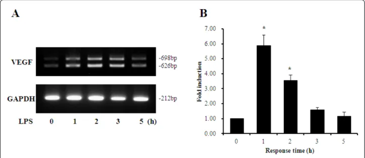 Figure 2 Expression of IL-6, MCP-1 and RANTES in HUVECs after treatment with LPS and/or bevacizumab