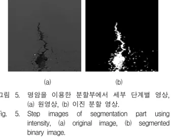 Fig. 4. Decision  part  using  features  of  intensity  and  motion. 들이  그림자,  얼룩,  패치  등과  같이  포트홀  및  크랙과  구분하지  못한  것을  해결한다