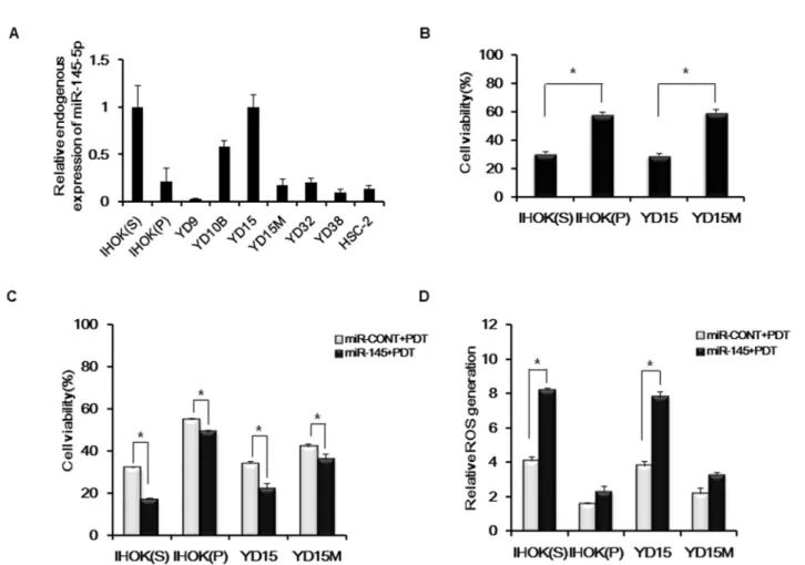 Figure 2:  Cytotoxicity and ROS generation by miR-145-5p expression  (A)  Endogenous expression levels of miR-145-5p in IHOK and  OSCC cells using real-time PCR