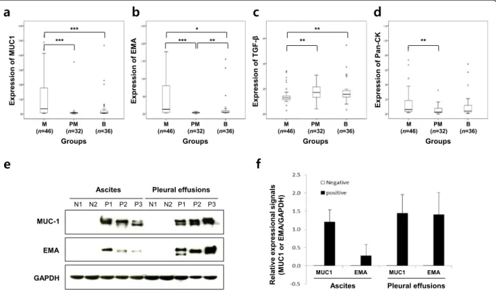 Fig. 2 Assessments of MUC1, EMA, TGF- β, and Pan-CK expressions by well-based reverse phase protein array and western blotting