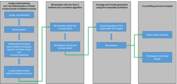 Figure 1.  Flowchart of image processing and analysis. After image preprocessing and determination of the 