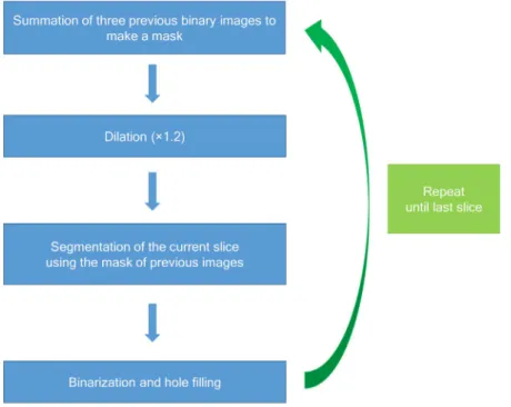 Figure 4.  A cumulative binarization algorithm for mandible segmentation. This algorithm summed the 3 