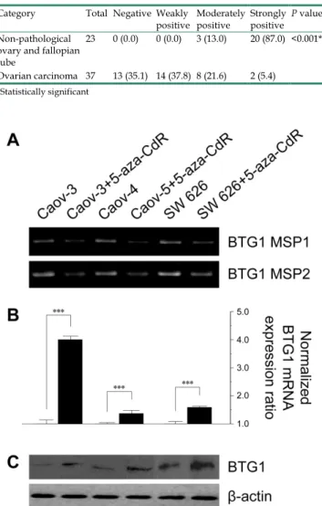 Table 1.  Differences in BTG1 expression between ovarian 