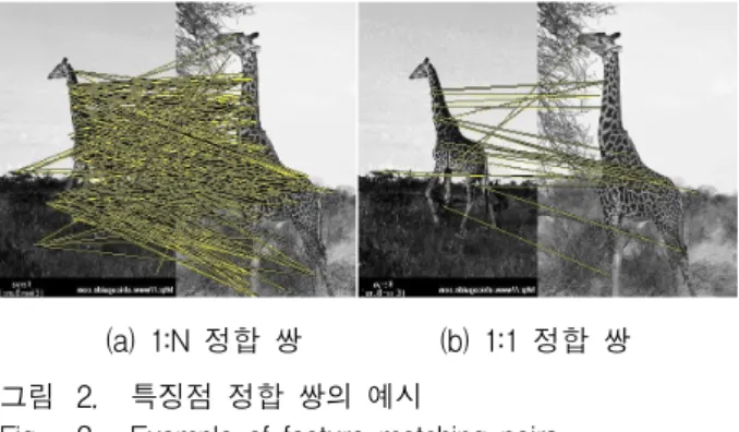 Fig. 2. Example  of  feature  matching-pairs.