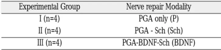 Table 2. Sciatic function index (SFI)