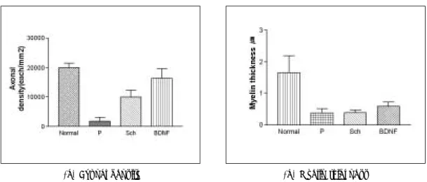 Table 5. Axon density and Myelin thickness of normal and experimental groups
