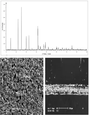 그림 4. 제작된  HgI 2   필름의  XRD  패턴과  SEM  영상 Fig. 4. XRD  pattern  and  SEM  of  the  fabricated  HgI 2
