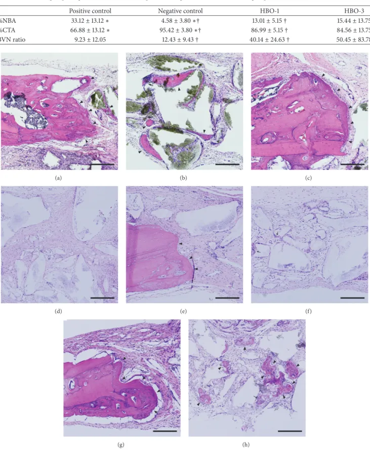 Figure 4: Histological analysis (H-E staining, x200). Scale bar = 200휇m. (a, b) Positive control group; (c, d) negative control group; (e, f) HBO-1 group; (g, h) HBO-3 group