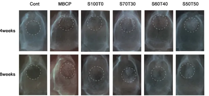 Figure 1. X-ray pictures (four weeks and eight weeks); Cont is the blank control group.